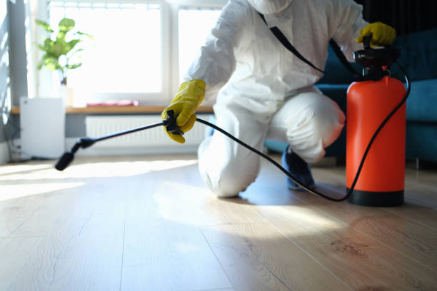 Reliable Blood Cleanup contractor in Lakeview, WA by Crime Scene Cleaner Online